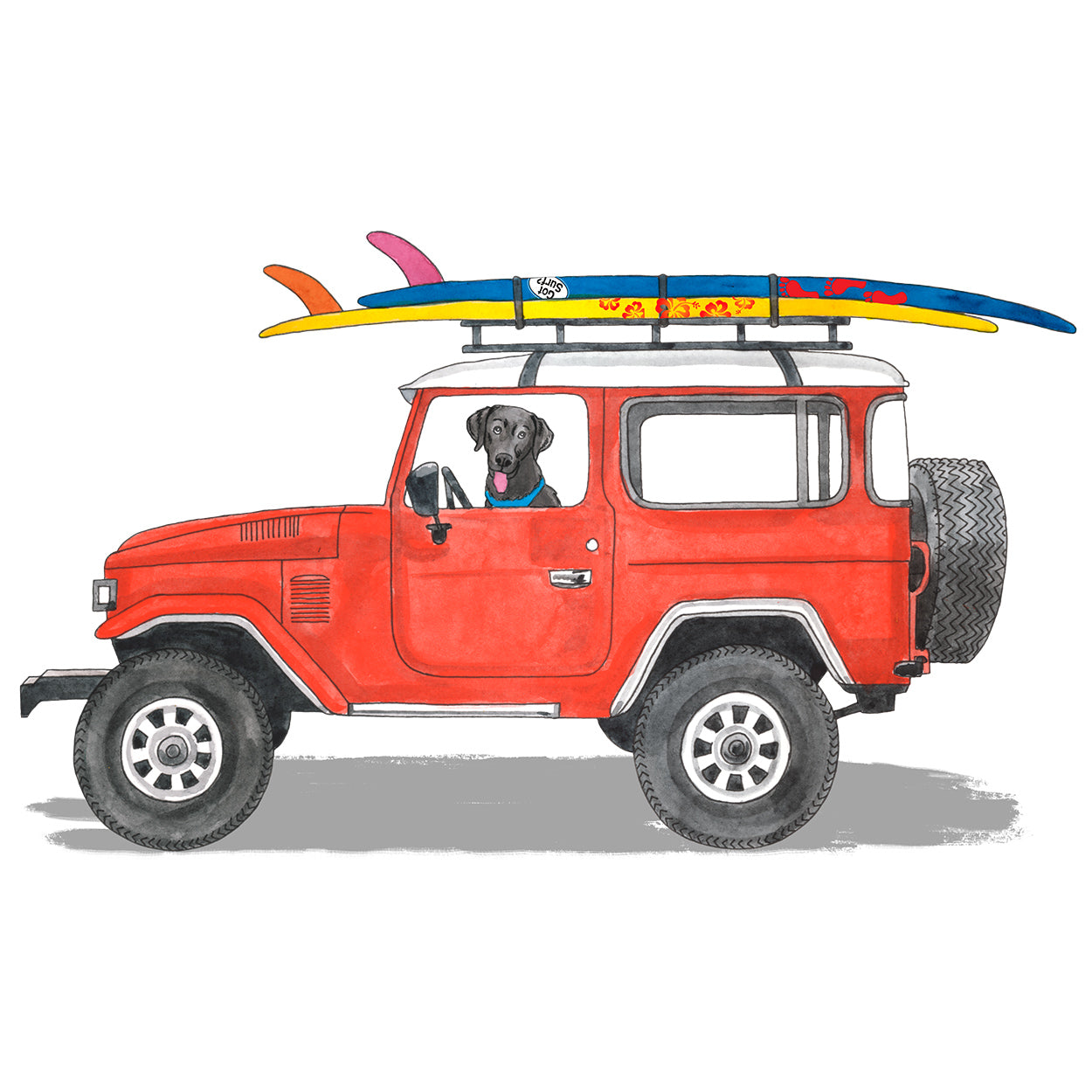 Lab Cruiser