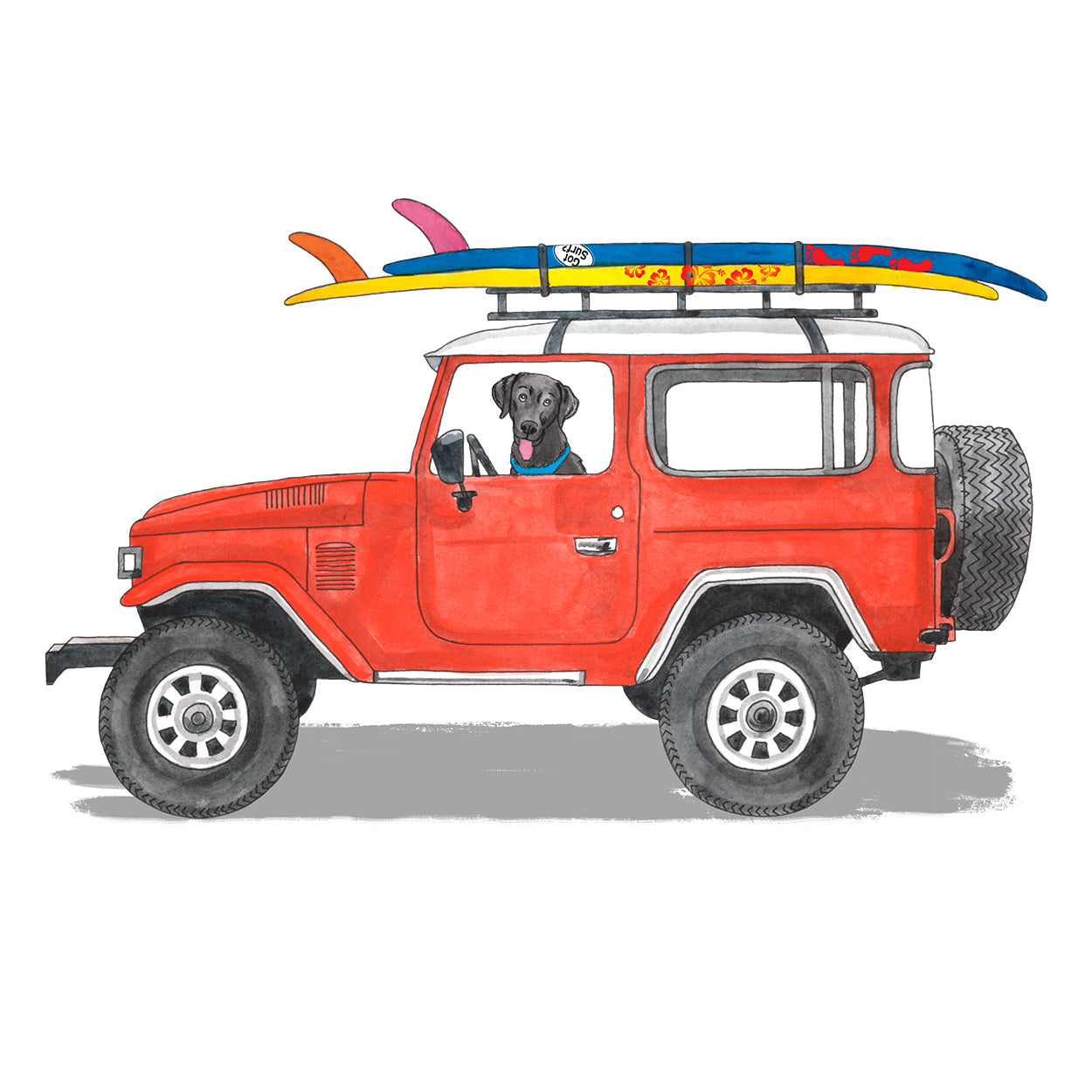 Lab Cruiser