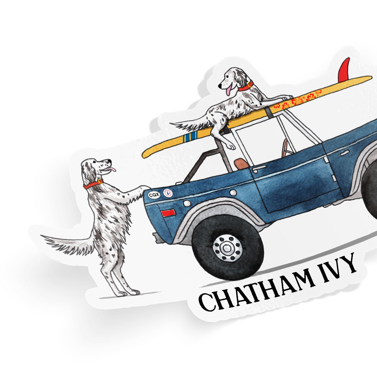 Surf Dogs
